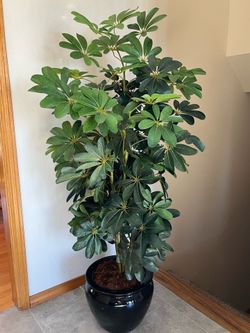Artificial Plant/Tree