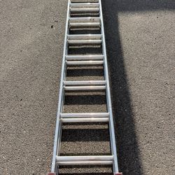 Werner D716-2 16 ft. Aluminum D-Rung Extension Ladder 