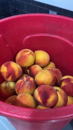 Fresh peaches