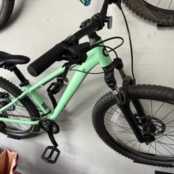 Liv Mountain Bike 24”