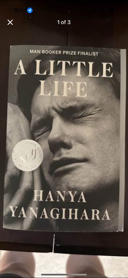 A Little Life Book