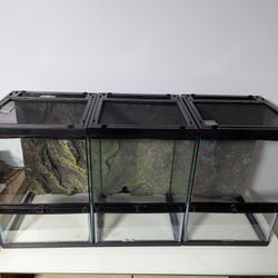 12x12x18 Terrariums