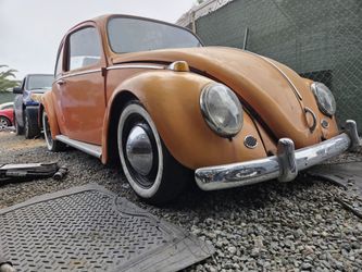 1965 vw bug