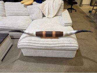 Authentic Longhorn wall mount