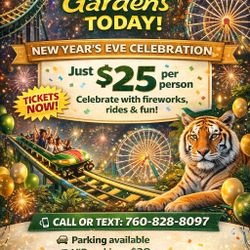 🎉 Busch Gardens – New Year’s Eve Celebration 🎉