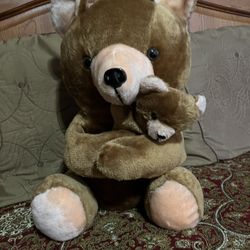 Stuffed Animal Bears 