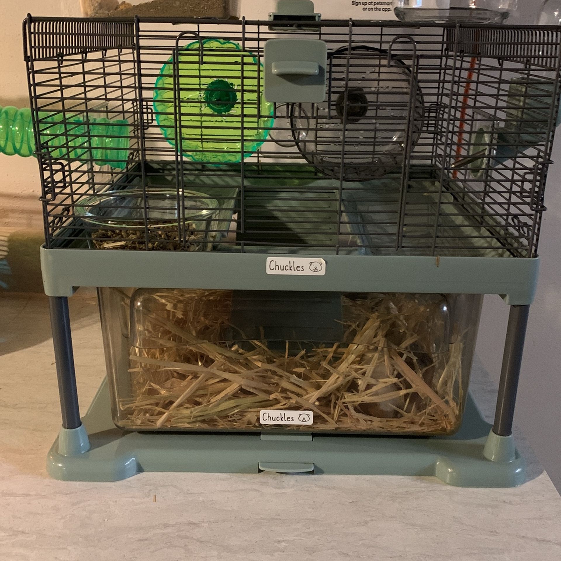 Hamster cage