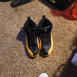 Jordan Retro12s 