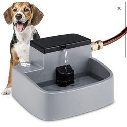 Dog Water Fountain