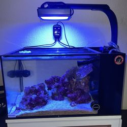 20G Fiji Peninsula Tank