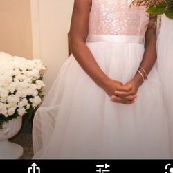 Flower Girl Dress Size 8 Rose Gold Top With Heart Shape In Back With Blush Tulle Bottom 