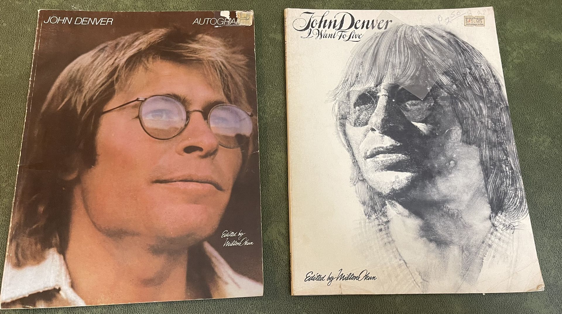 Lot Of 2 John Denver Song Books