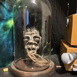 Shrunken head 8 1/2” inches