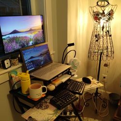 Unique Floor Lamp that U didn't Know U Needed