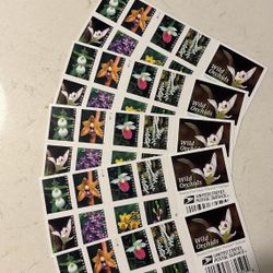 MINT 1000 USPS Forever Postage Stamps Wild Orchids 50 Booklets of 20 Vintage UNUSED | Floral | Wedding | Baby Showers | Flowers