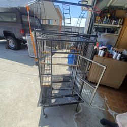 Bird Cage