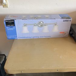 Moen bathroom light $75