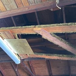 Free Canoe / Kayak Storage