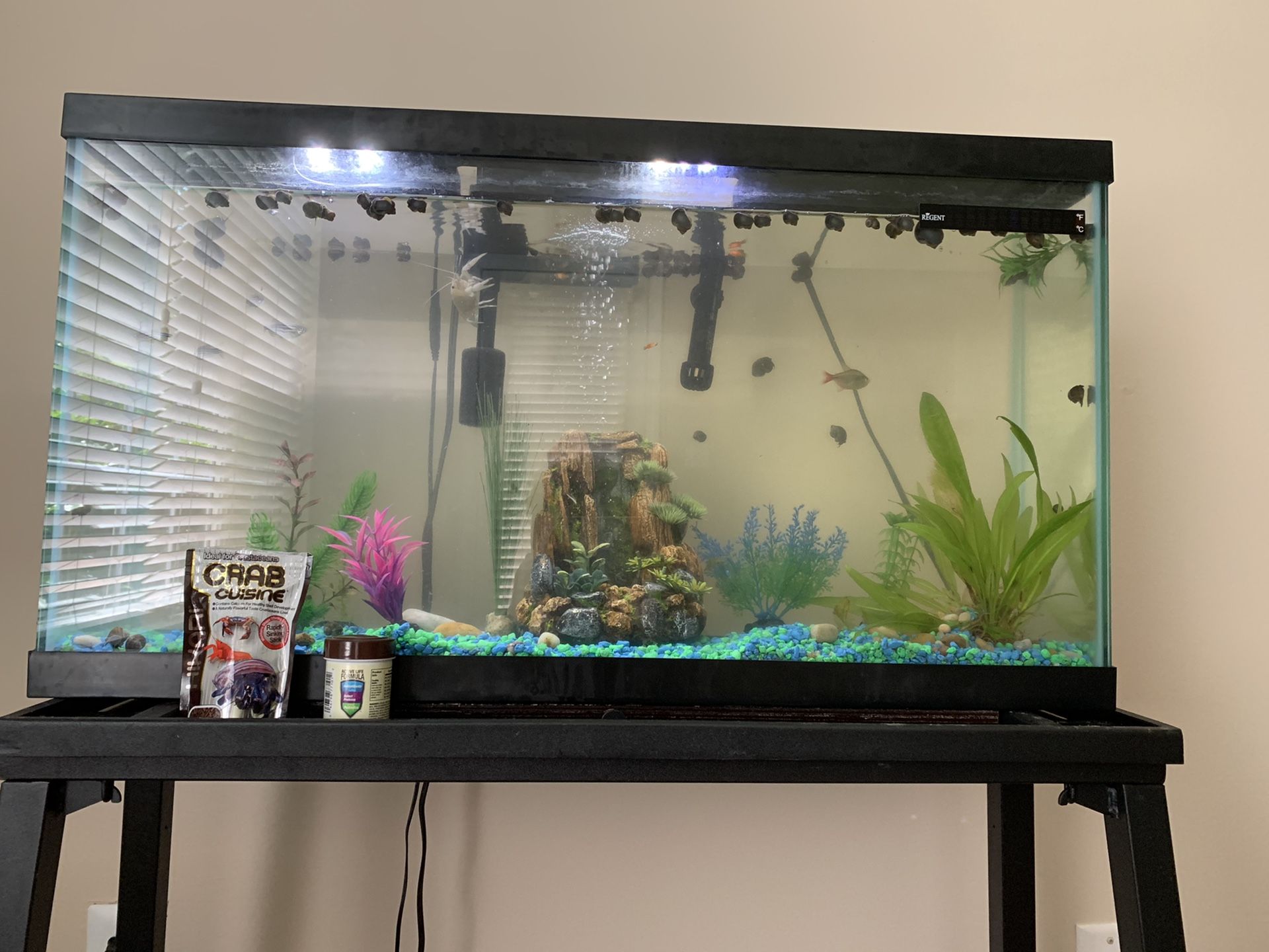 15 gallon fish tank w/ stand