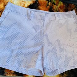 Nike Dri Fit Shorts 