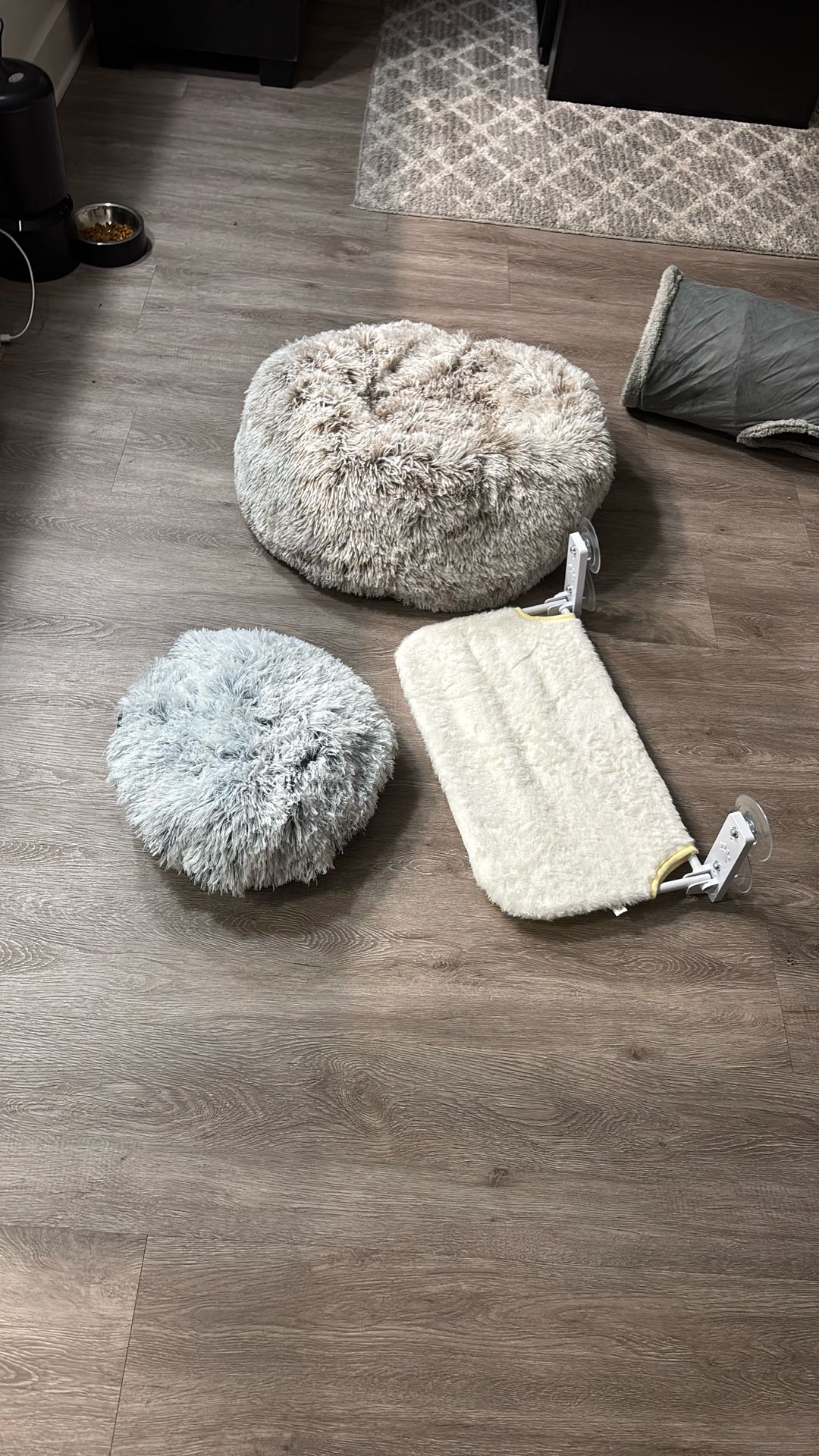 Cat Beds
