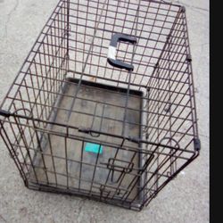Dog Kennel 