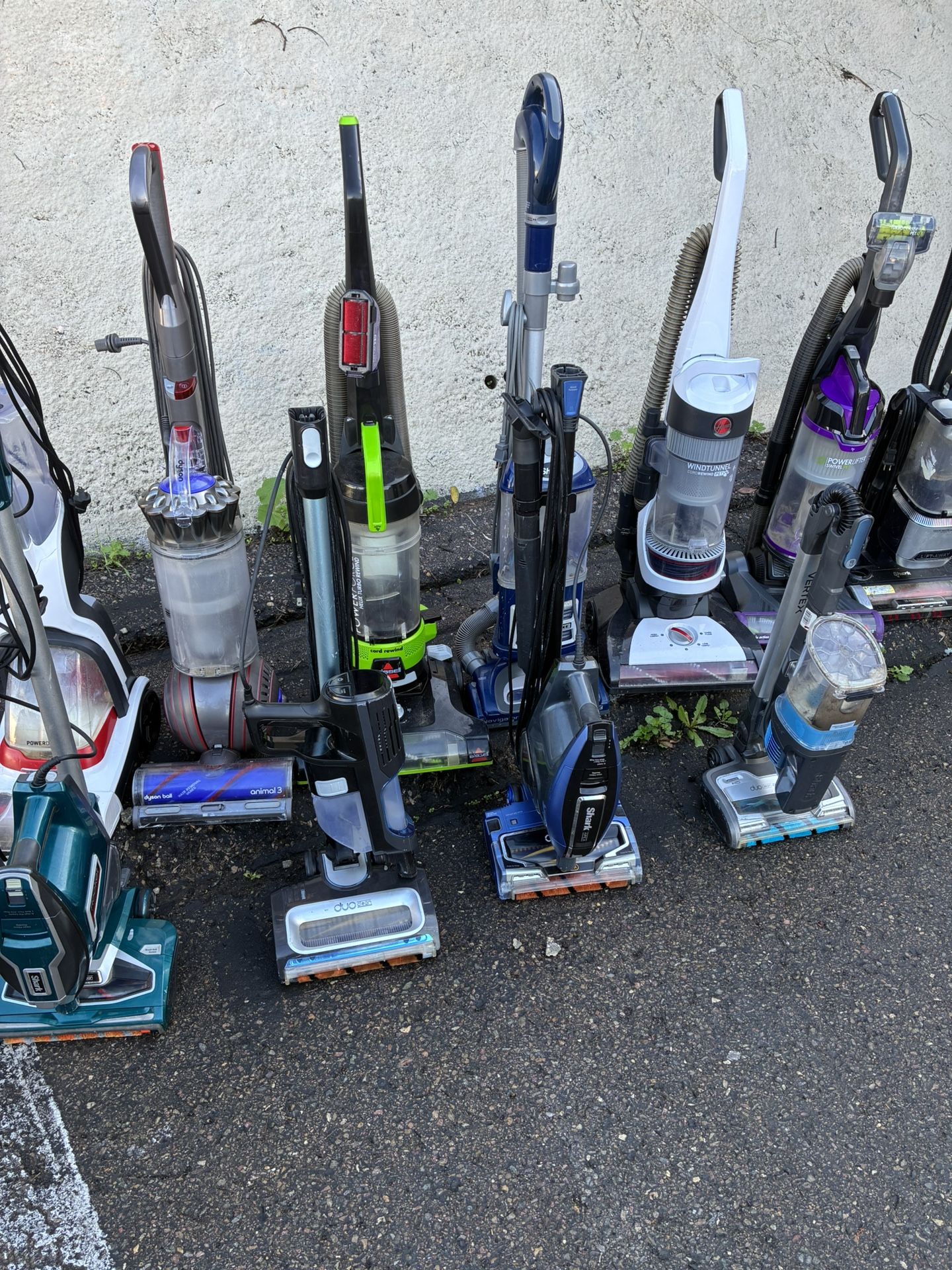 Vacuum Dyson Shark Bissell Corded Cordless