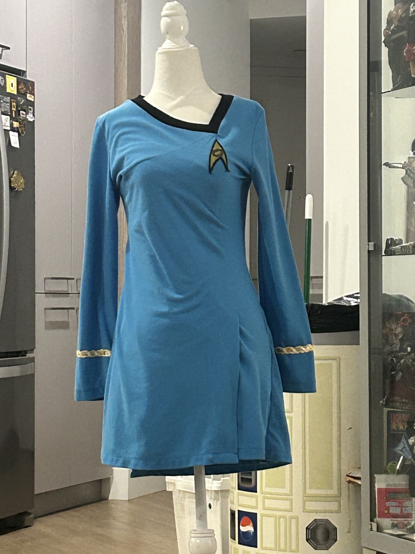 Star Trek Cosplay costume