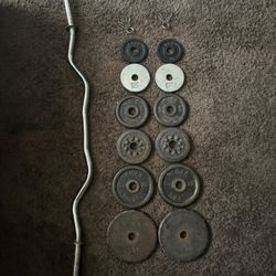 Curl Bar 50lbs (Pounds) In Weights