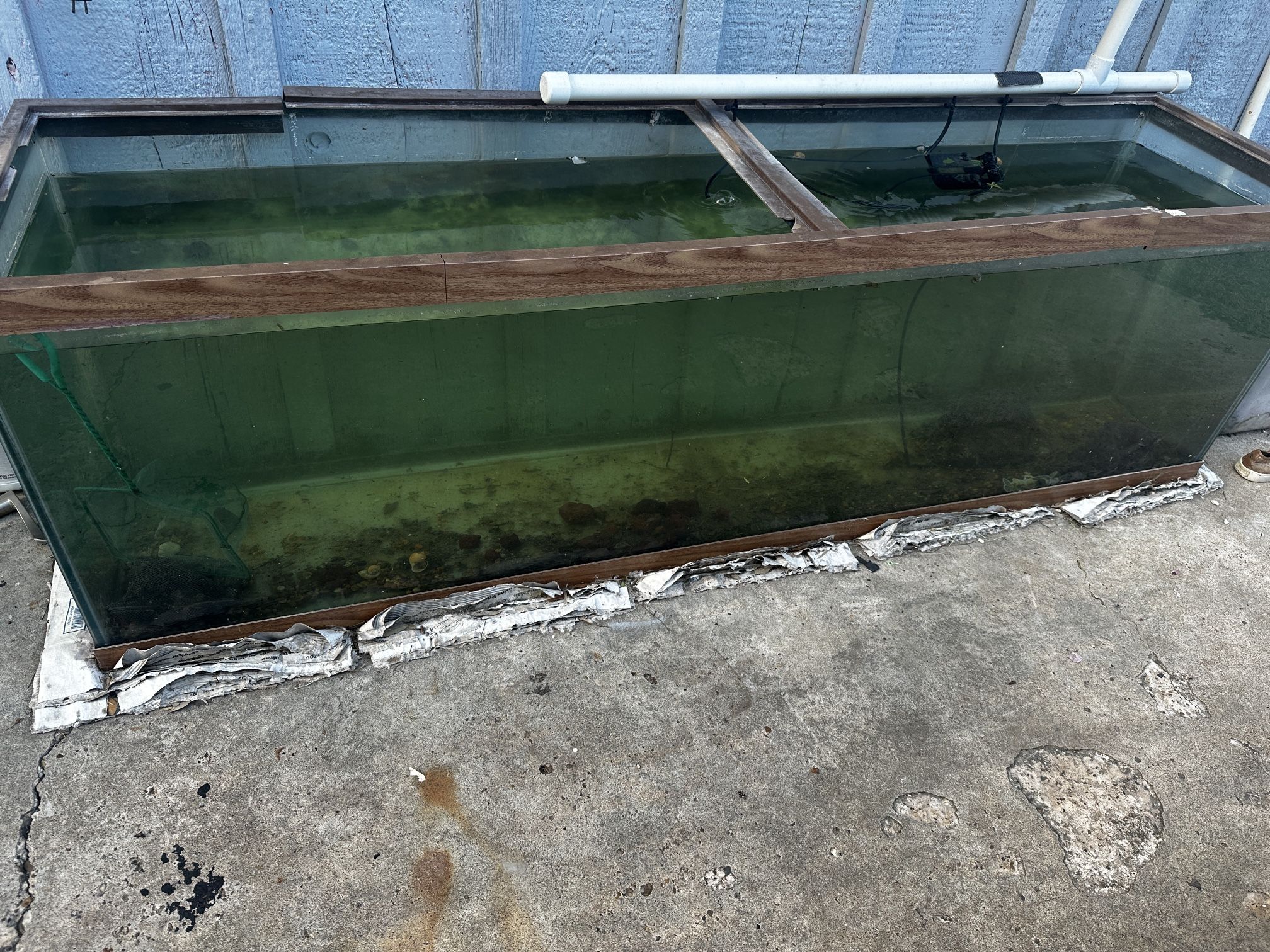 Aquarium Supplies