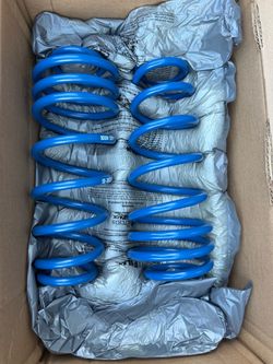 2005-2014 Ford Mustang ROUSH Rear Coil Springs