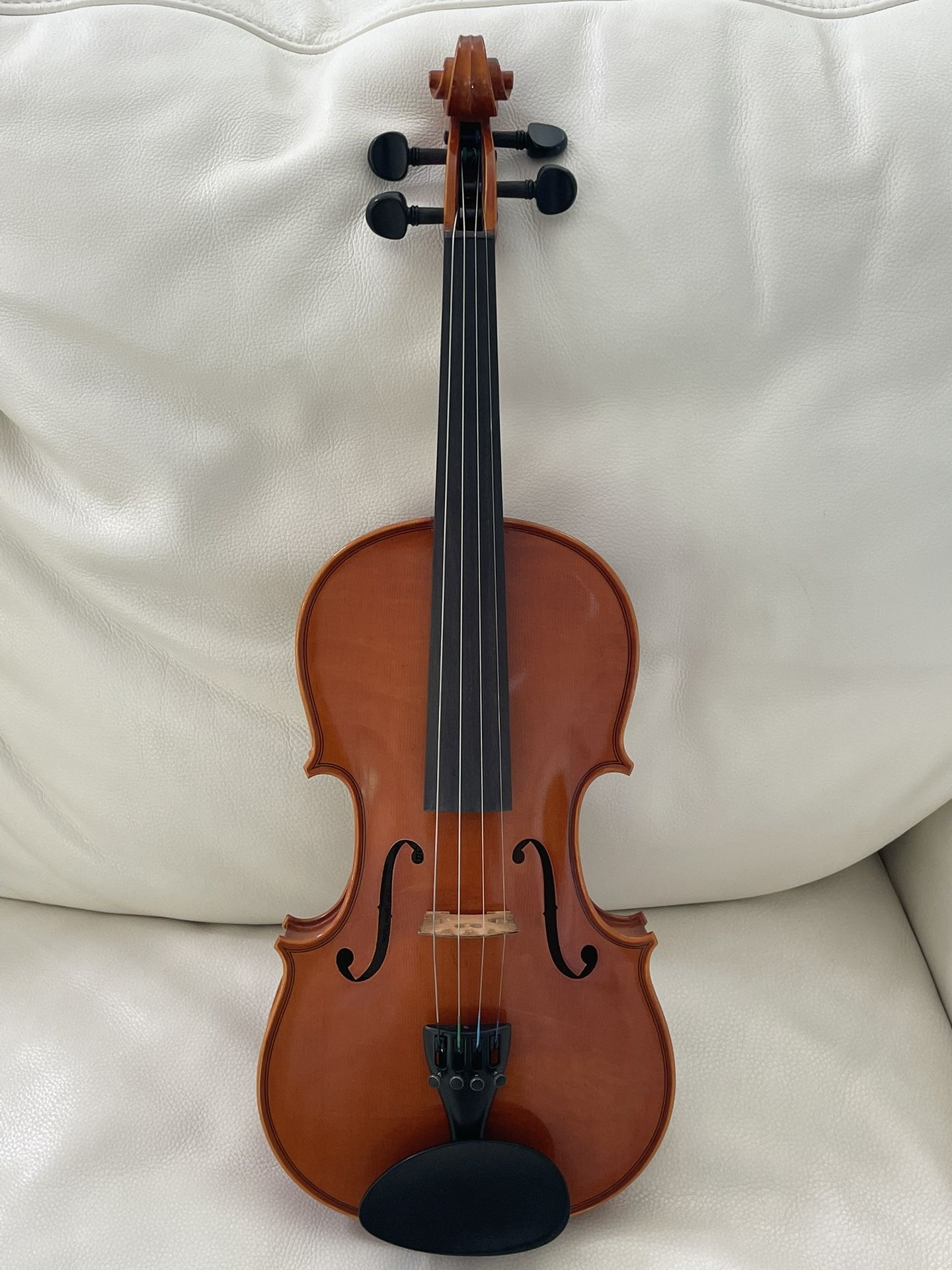 Eastman/Quinn Violins Concertino 4/4 Violin