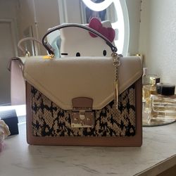 Aldo Purse