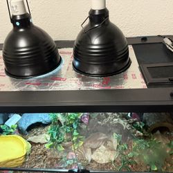 2 50 Gallon Reptile Tanks
