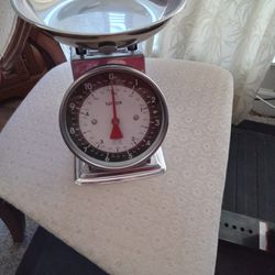 Taylor Modern Mechanical Kitchen Weighing Food Scale Weighs up to 11lbs, Measures in Grams and Ounces