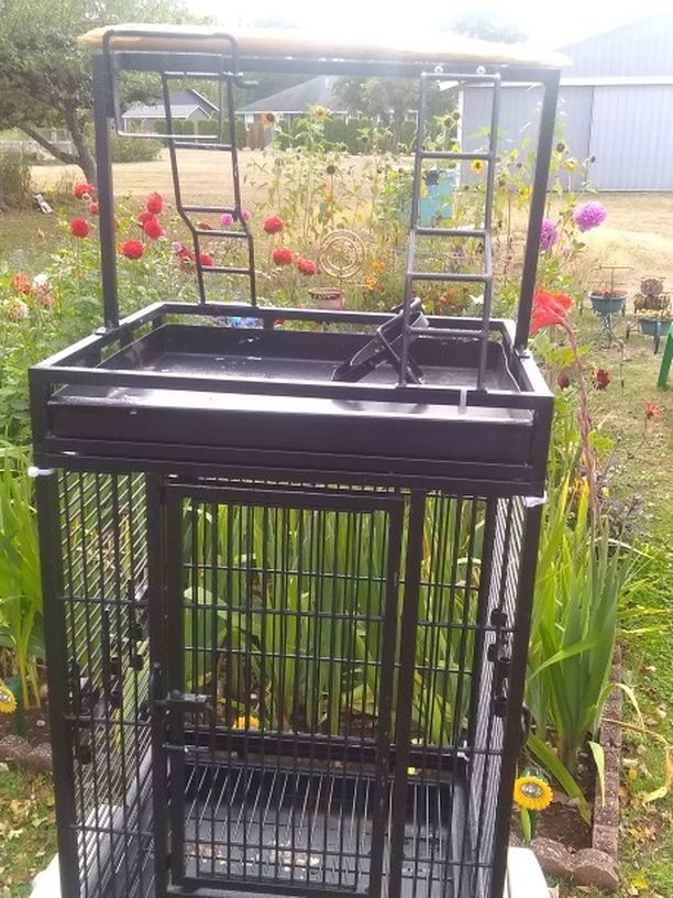 Parrot Cage