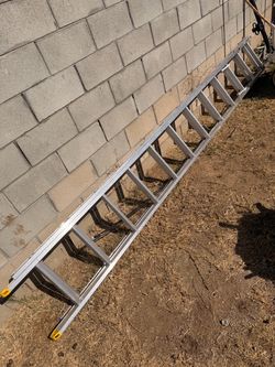 Ladder 24Ft