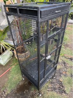 Bird cage