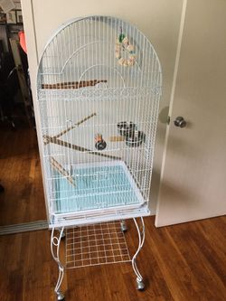 Bird Cage  