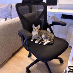 Office Chair,Ergonomic Desk Chair with Adjustable Lumbar Support,400 Lbs Mesh Computer Chair High Back with Headrest for Home Office (Black)