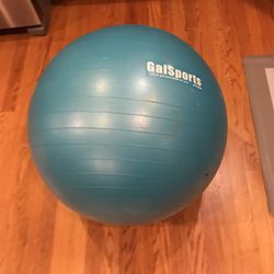 Exercise Ball With Pump