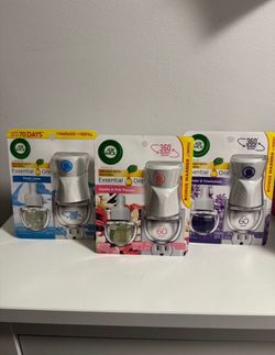 $12 for all