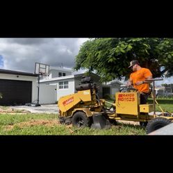 🌳 Stump Grinding Srvc 🪵