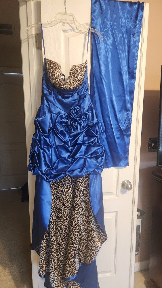 Prom/ Formal Gown