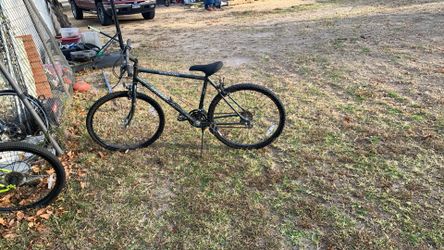 Roadmaster Trail Blazer Mountain Bike