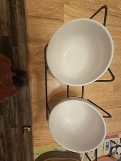 Cat bowls