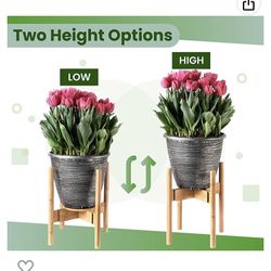 Plant Stand