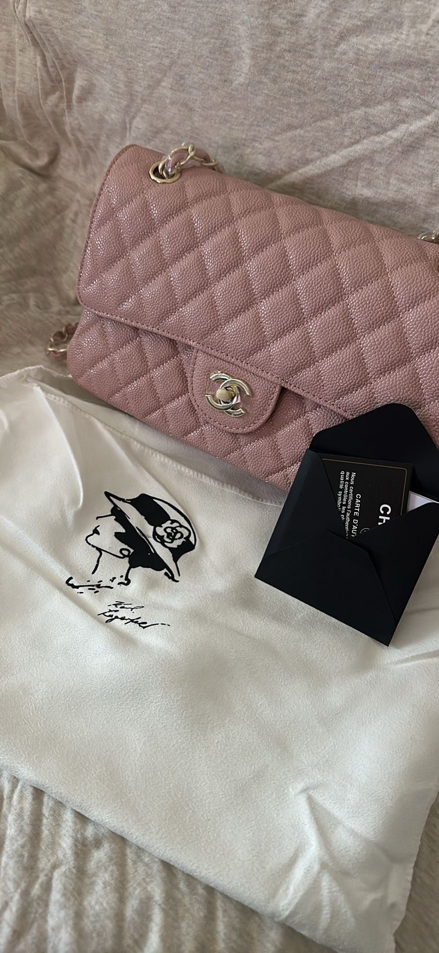 Pink Chanel Bag