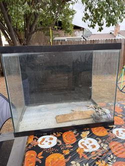 Reptile Tank For Sale