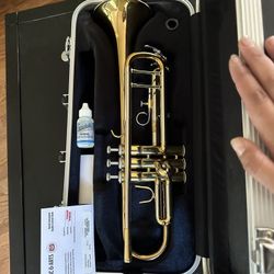 Brand New Trumpet
